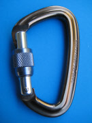 black diamond positron carabiner_000