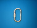 p ok carabiner 2