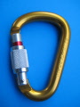 petzl attache only