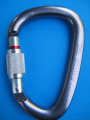 petzl william screw lock only